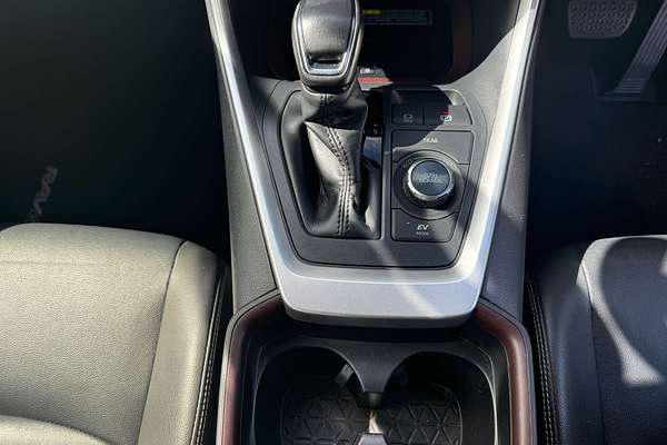 2020 Toyota RAV4 Cruiser AXAH54R