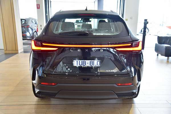 2024 Lexus NX NX250 AAZA20R