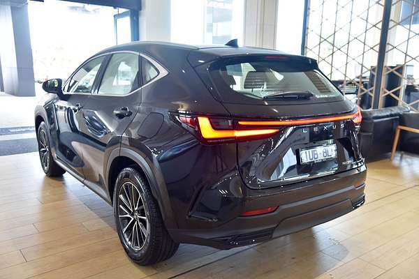 2024 Lexus NX NX250 AAZA20R