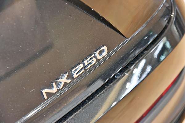 2024 Lexus NX NX250 AAZA20R