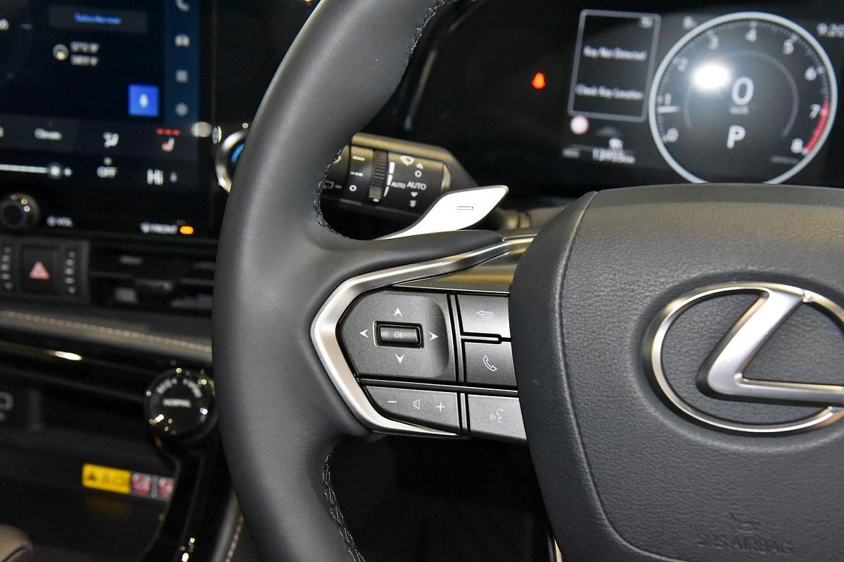 2024 Lexus NX NX250 AAZA20R