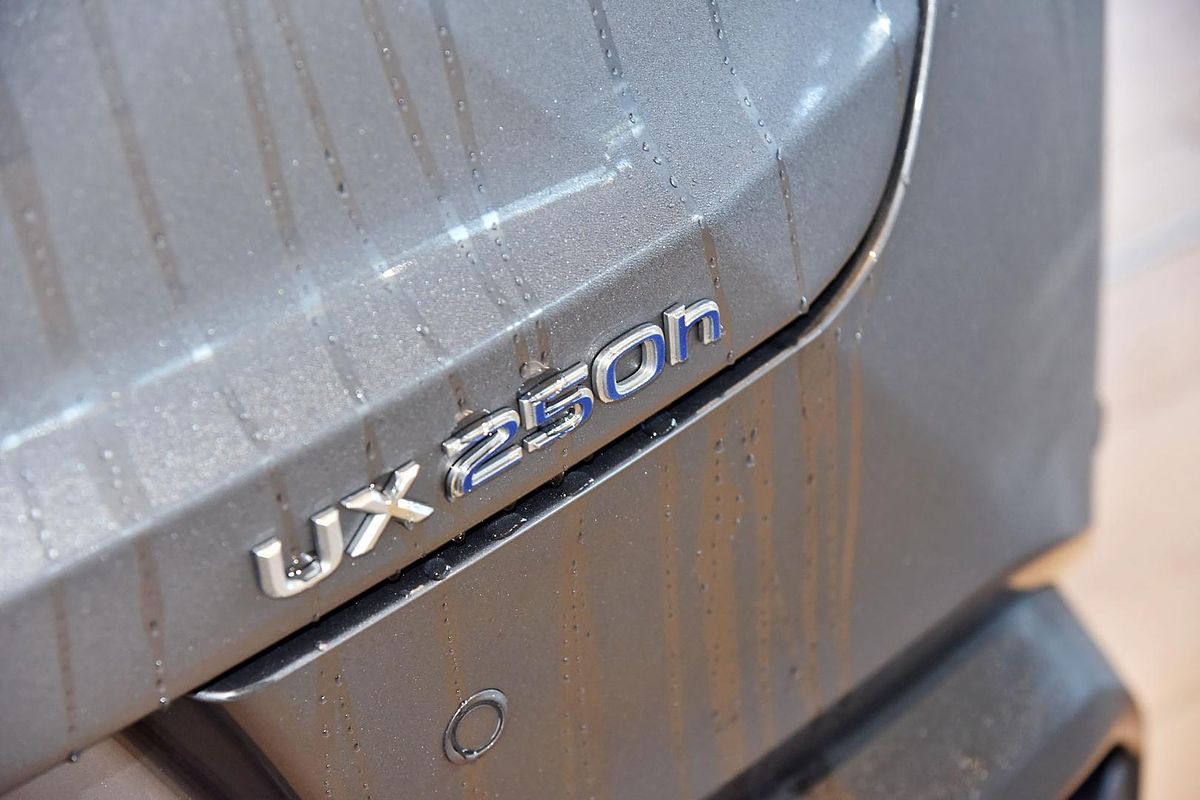 2022 Lexus UX UX250h Luxury MZAH10R