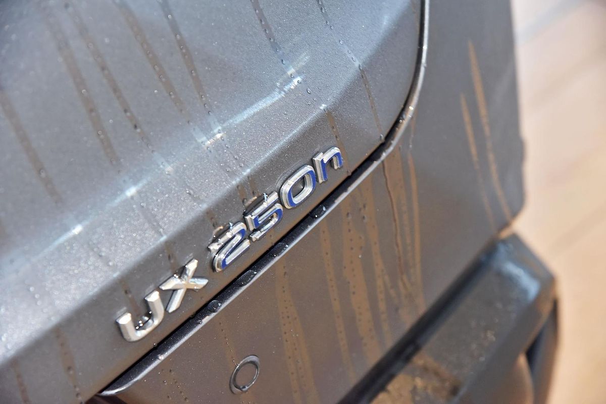 2022 Lexus UX UX250h Luxury MZAH10R
