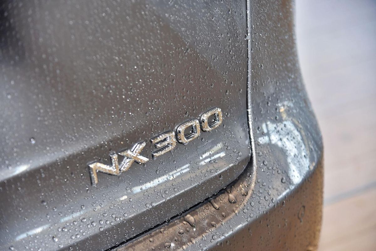 2018 Lexus NX NX300 Luxury AGZ10R