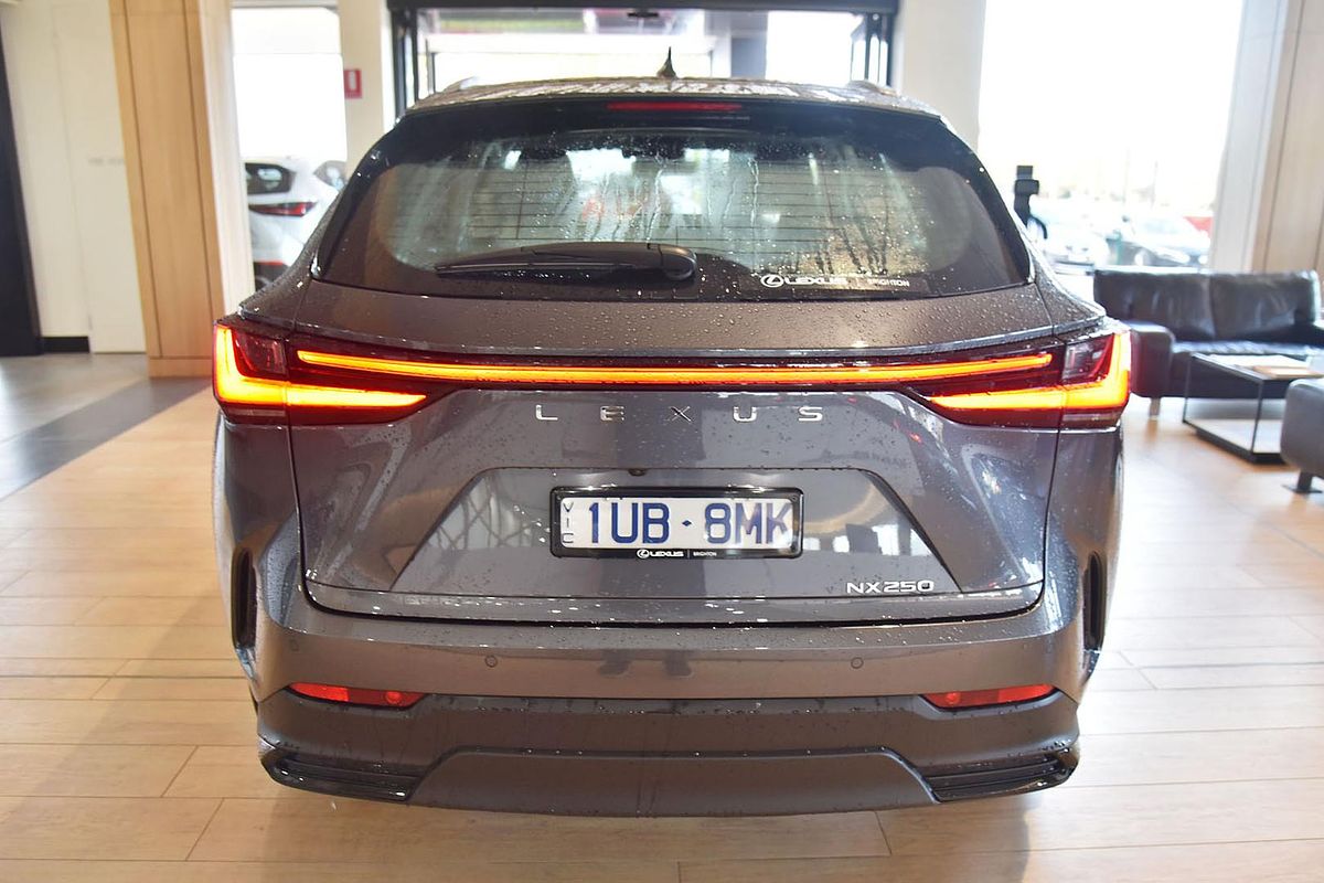 2024 Lexus NX NX250 AAZA20R