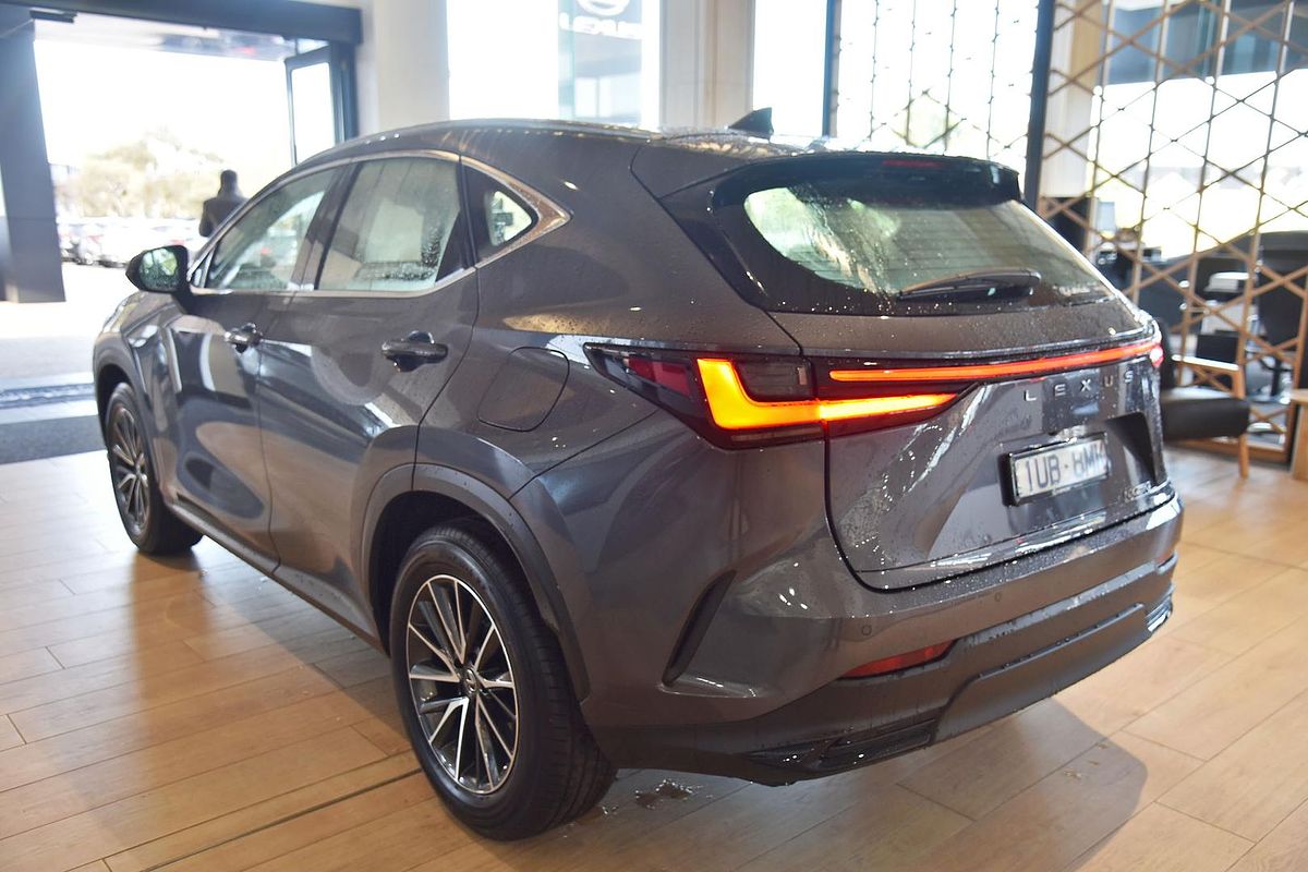 2024 Lexus NX NX250 AAZA20R