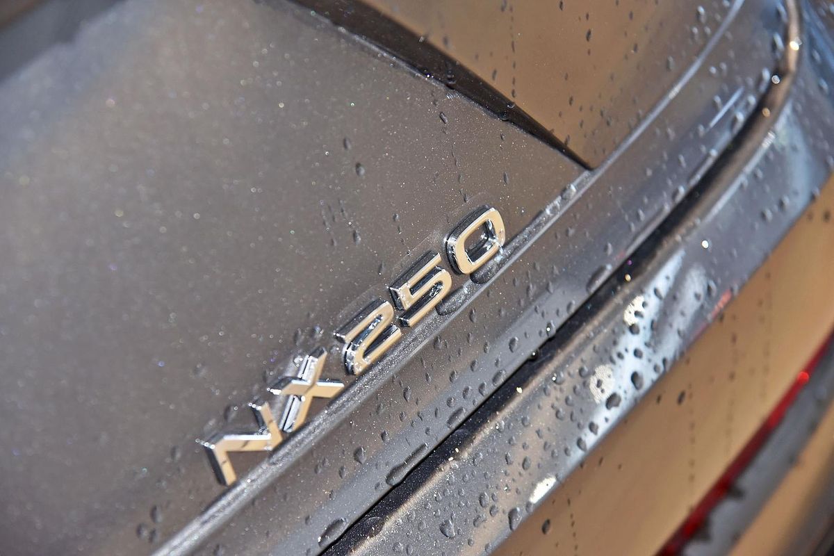 2024 Lexus NX NX250 AAZA20R