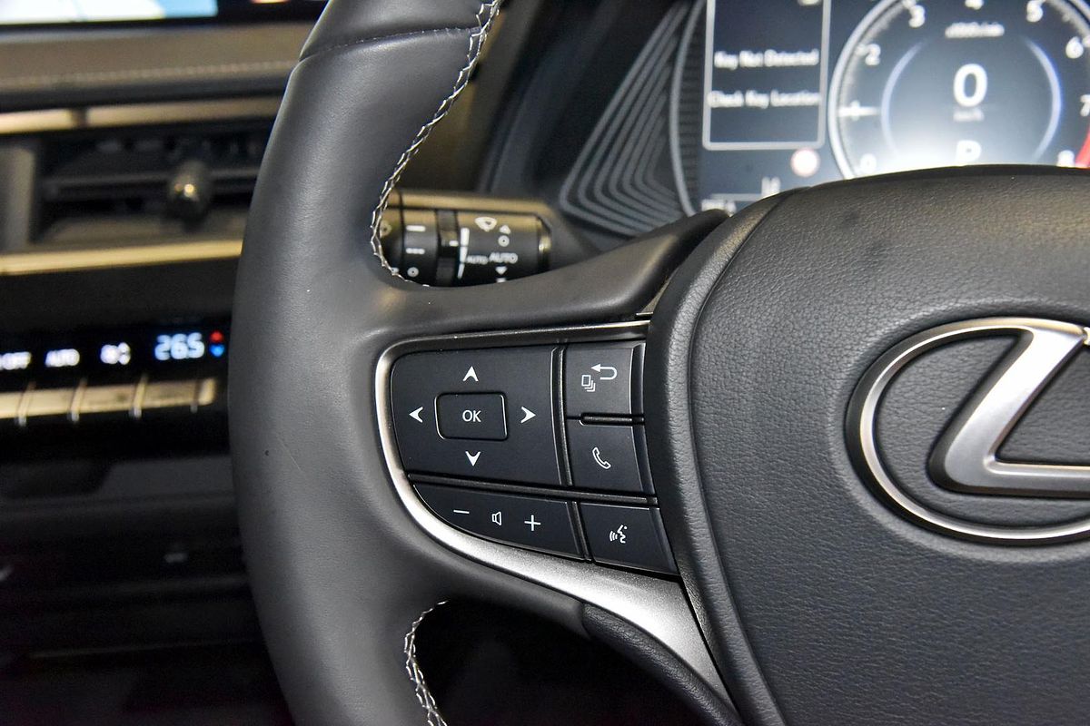 2018 Lexus UX UX200 Luxury MZAA10R