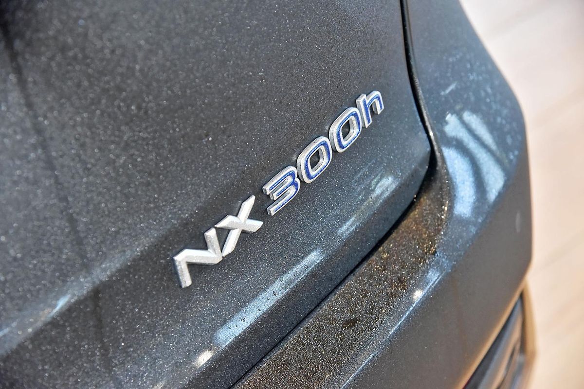 2021 Lexus NX NX300h F Sport AYZ10R