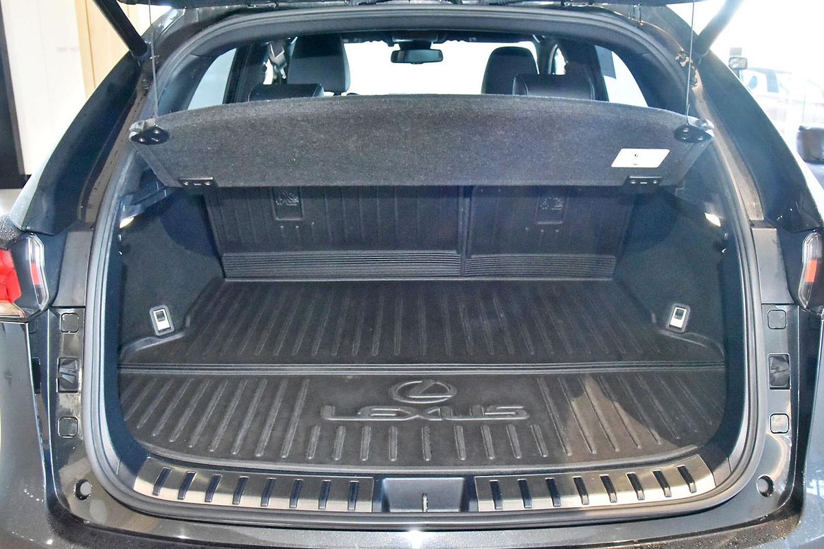 2021 Lexus NX NX300h F Sport AYZ10R