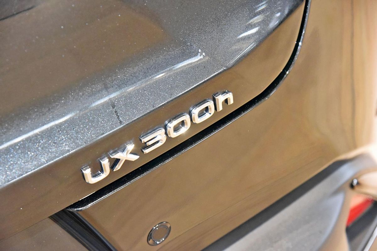 2024 Lexus UX UX300h F Sport MZAH11R