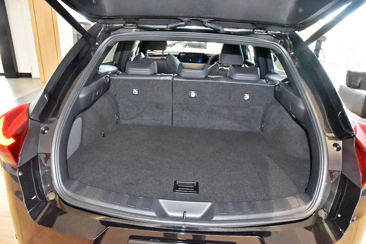 2024 Lexus UX UX300h F Sport MZAH11R