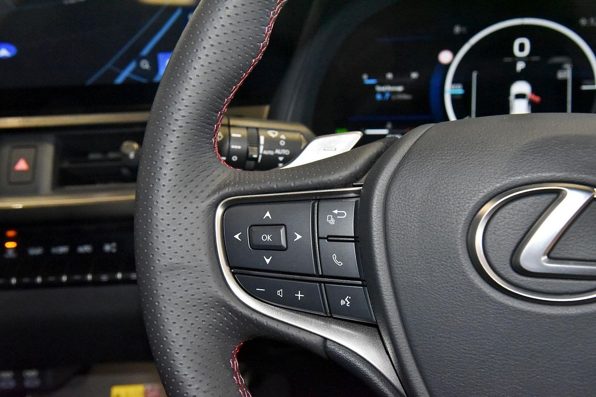 2024 Lexus UX UX300h F Sport MZAH11R