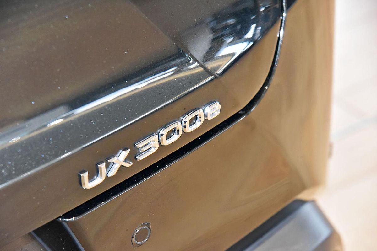 2023 Lexus UX UX300e Sports Luxury KMA10R