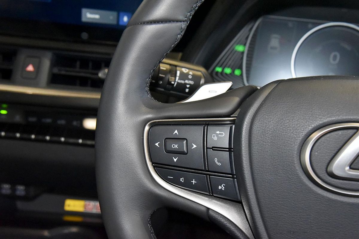2023 Lexus UX UX300e Sports Luxury KMA10R