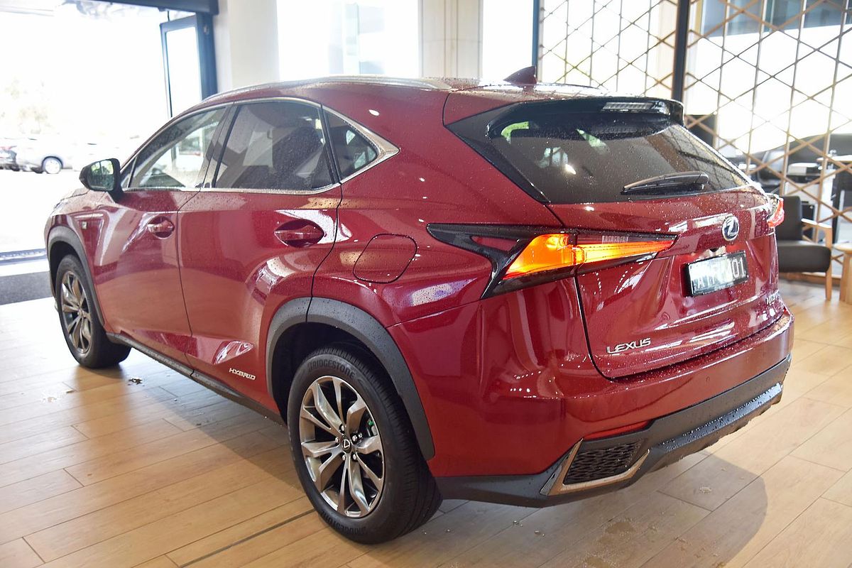 2019 Lexus NX NX300h F Sport AYZ10R