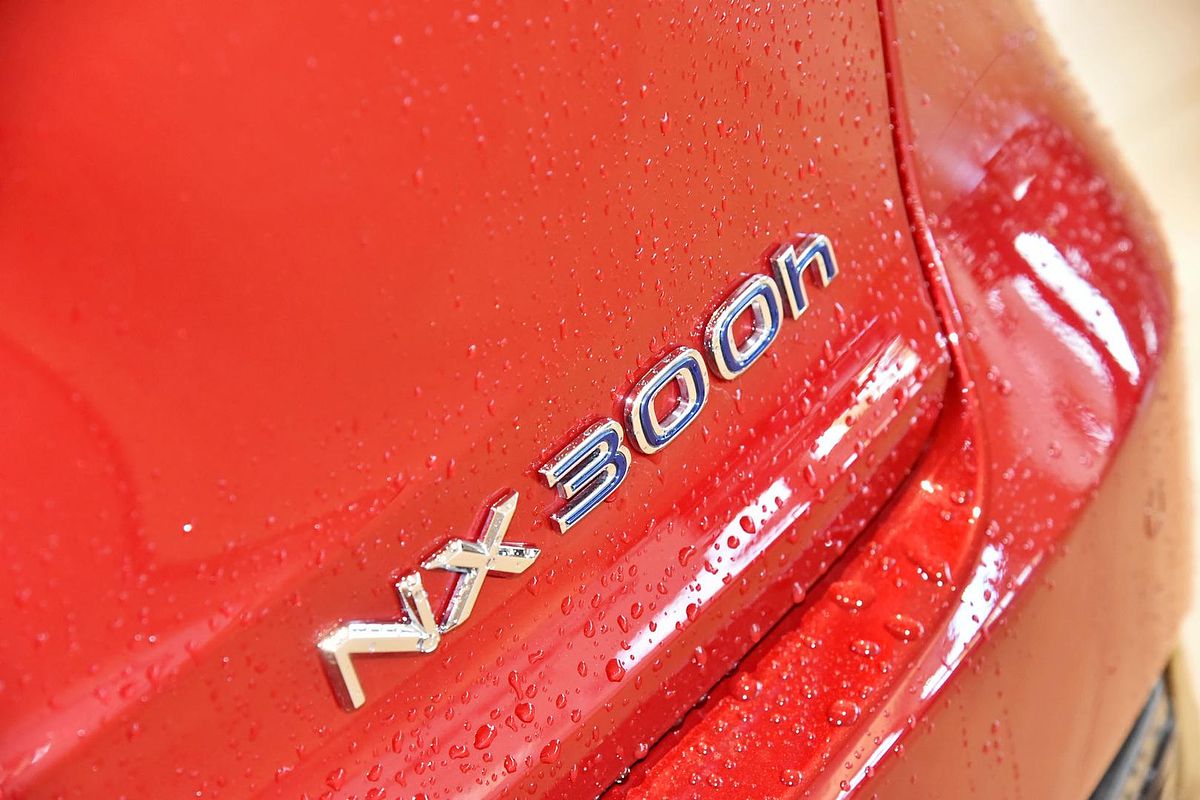 2019 Lexus NX NX300h F Sport AYZ10R