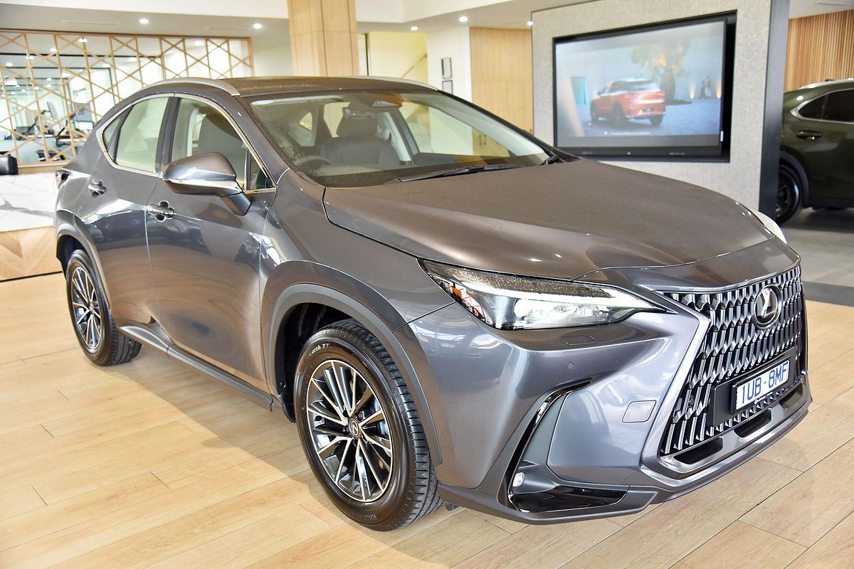 2024 Lexus NX NX250 AAZA20R