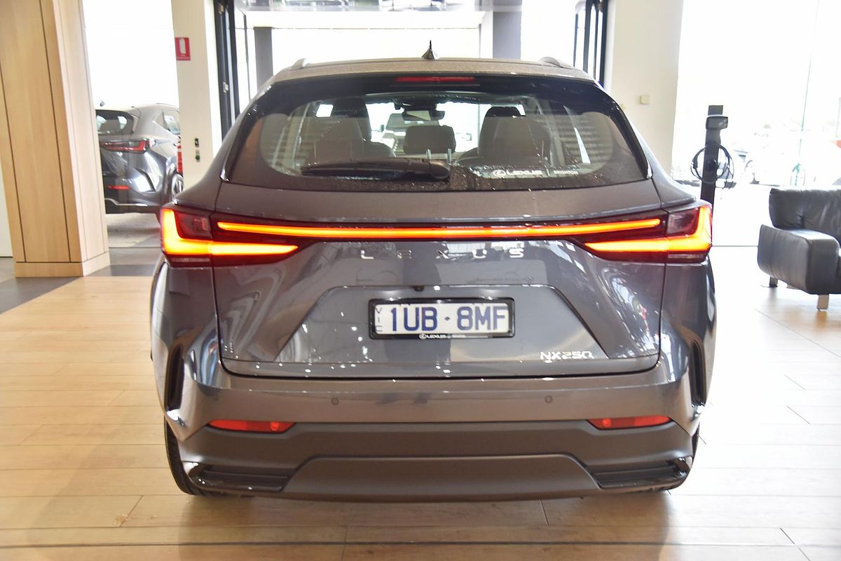2024 Lexus NX NX250 AAZA20R