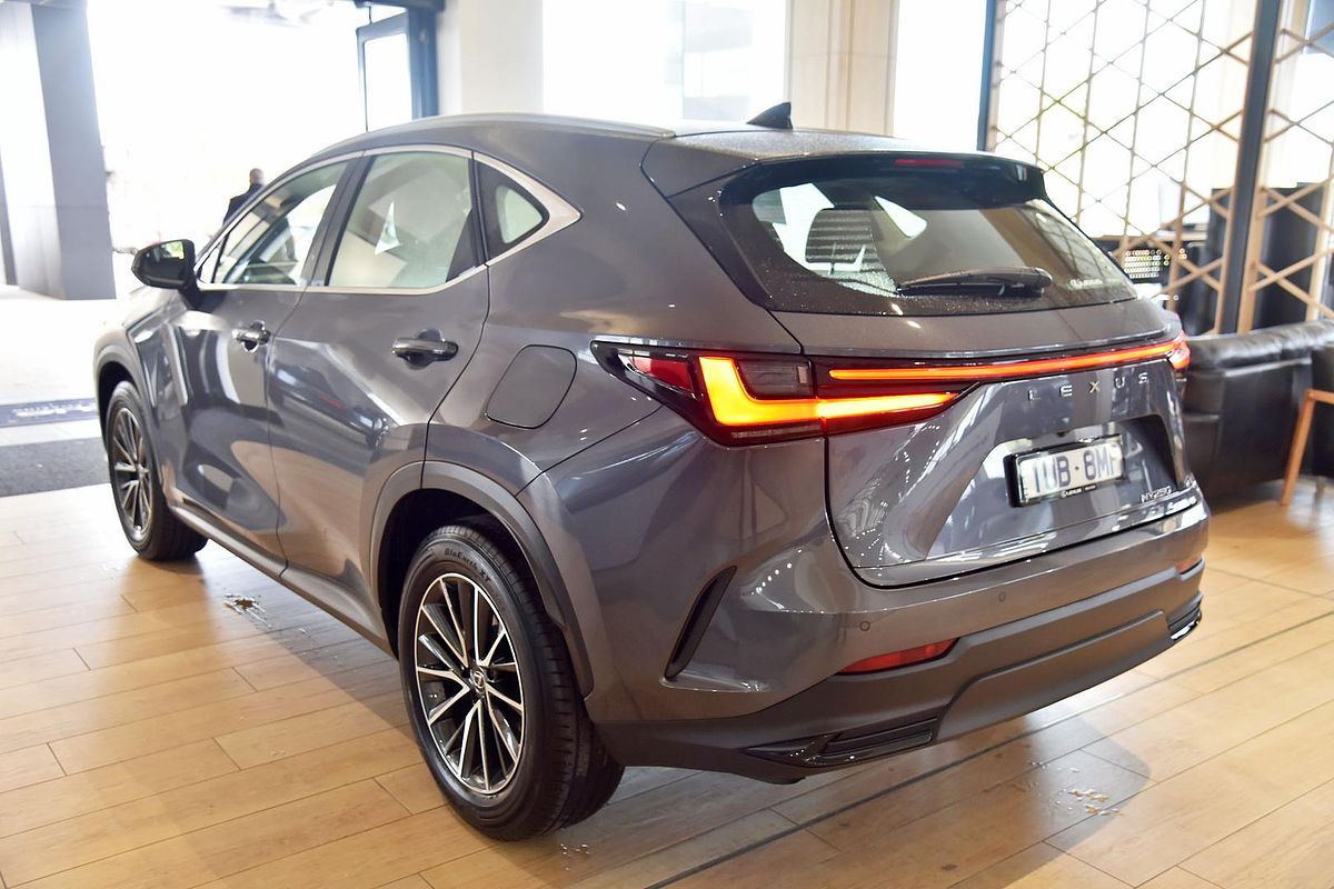 2024 Lexus NX NX250 AAZA20R