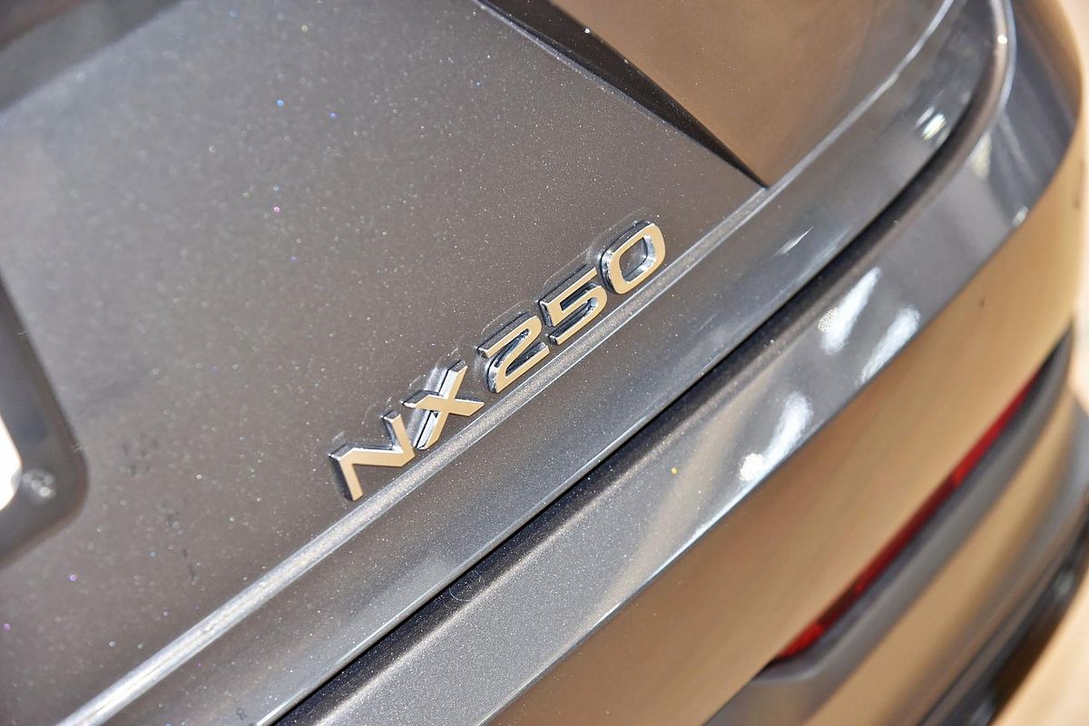 2024 Lexus NX NX250 AAZA20R