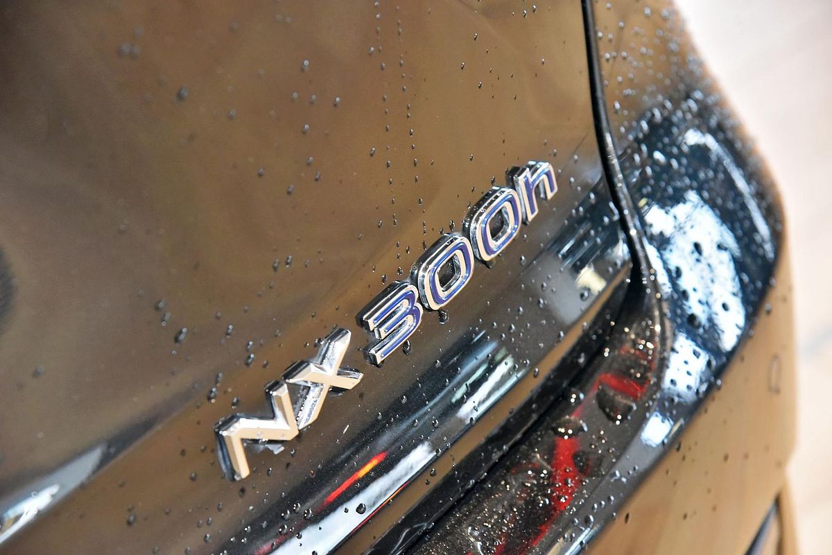 2019 Lexus NX NX300h F Sport AYZ10R