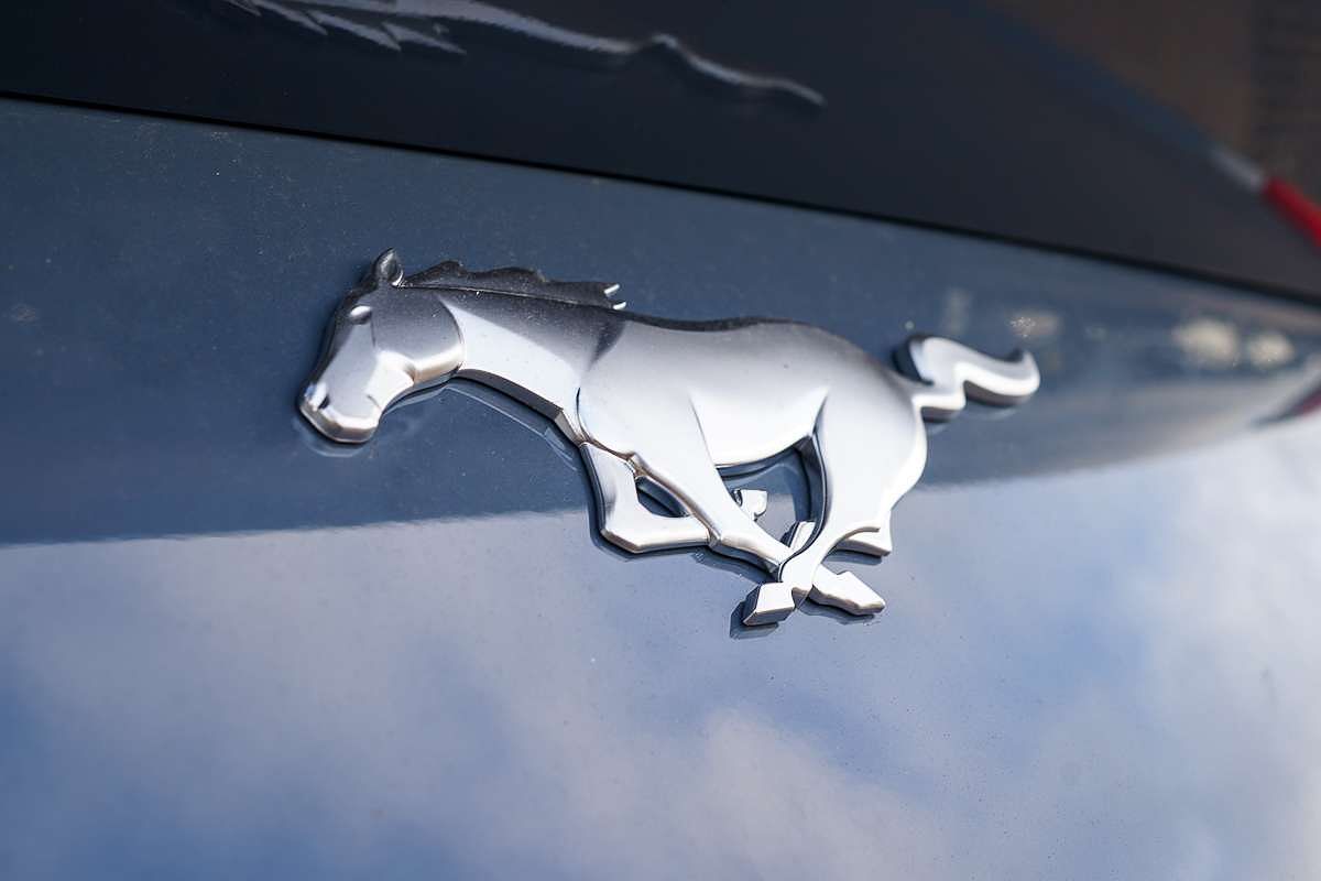 2024 Ford Mustang Ecoboost FO