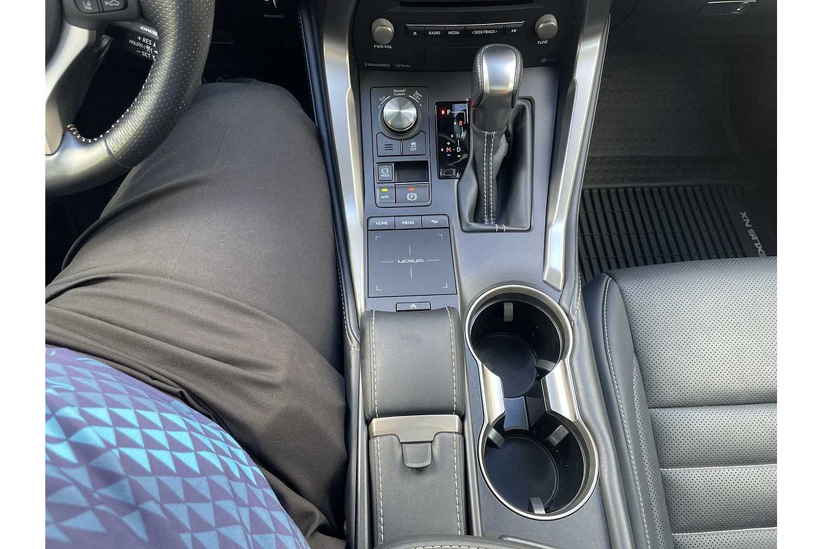 2020 Lexus NX F SPORT