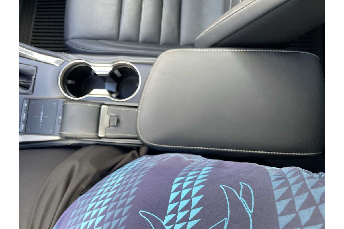 2020 Lexus NX F SPORT
