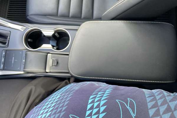 2020 Lexus NX F SPORT
