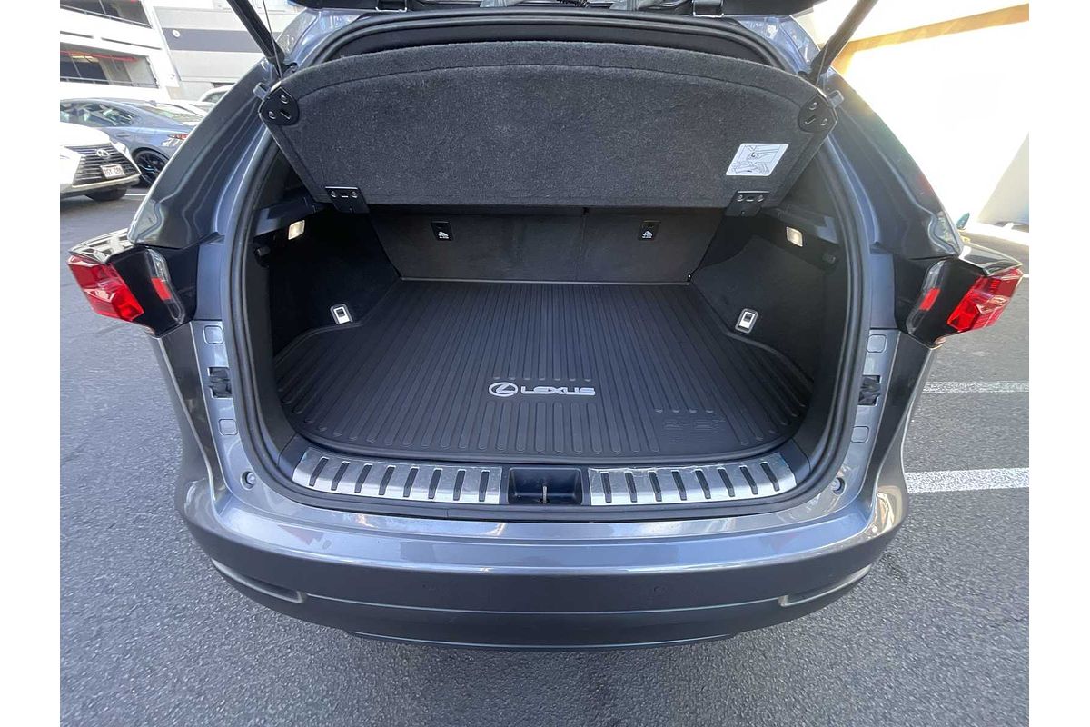 2020 Lexus NX F SPORT