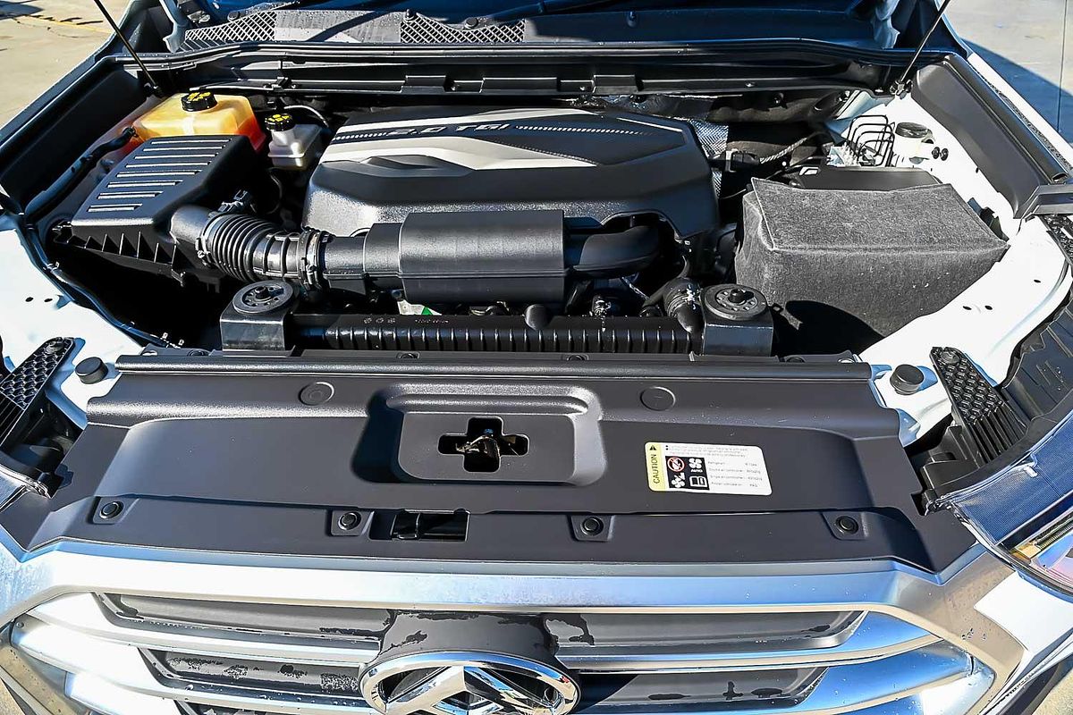 2023 LDV D90 SV9A