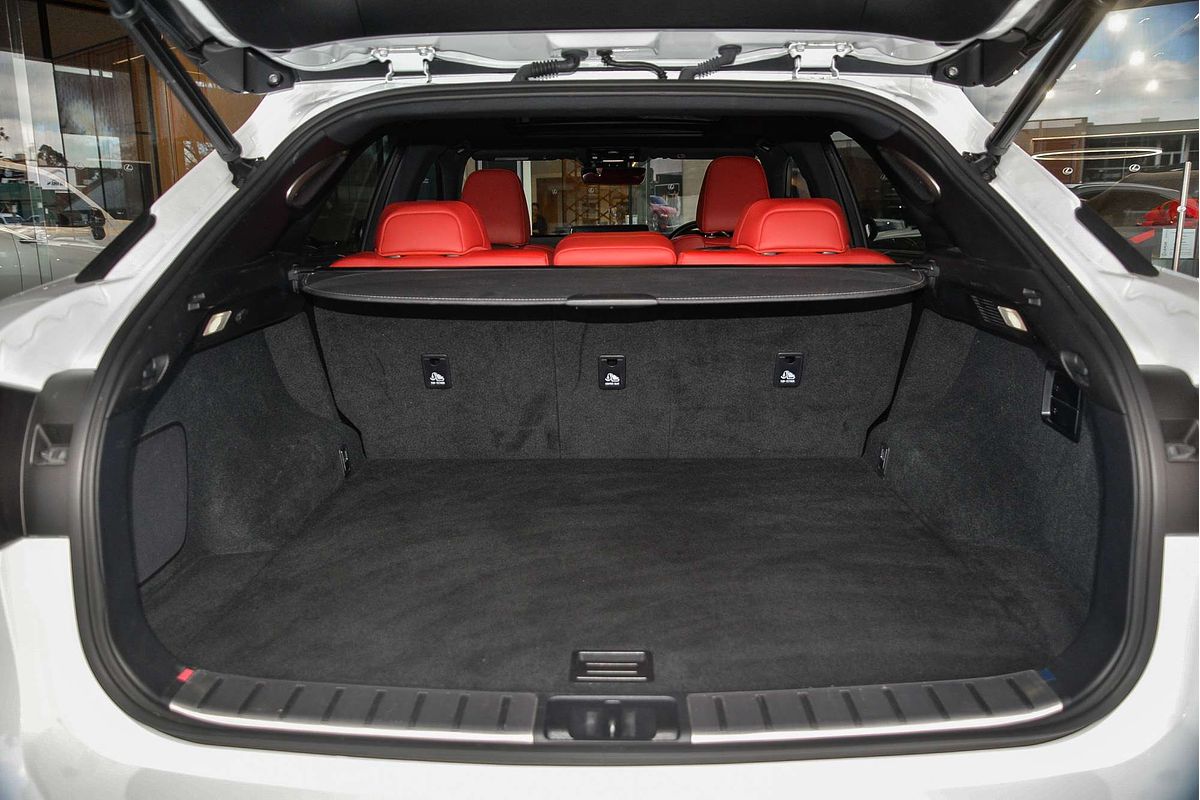 2022 Lexus RX RX300 F Sport AGL20R