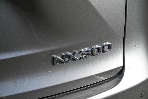 2019 Lexus NX NX300 Sports Luxury AGZ15R