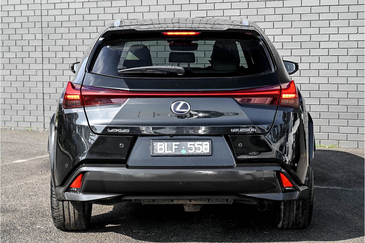 2019 Lexus UX UX250h Sport Luxury MZAH15R