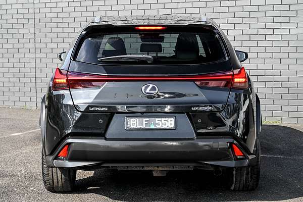 2019 Lexus UX UX250h Sport Luxury MZAH15R
