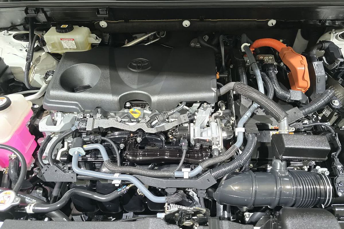 2020 Toyota RAV4 Cruiser AXAH54R