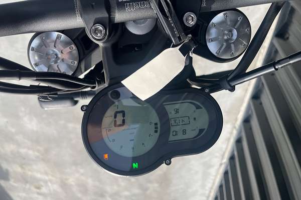 2025 Benelli Leoncino 500