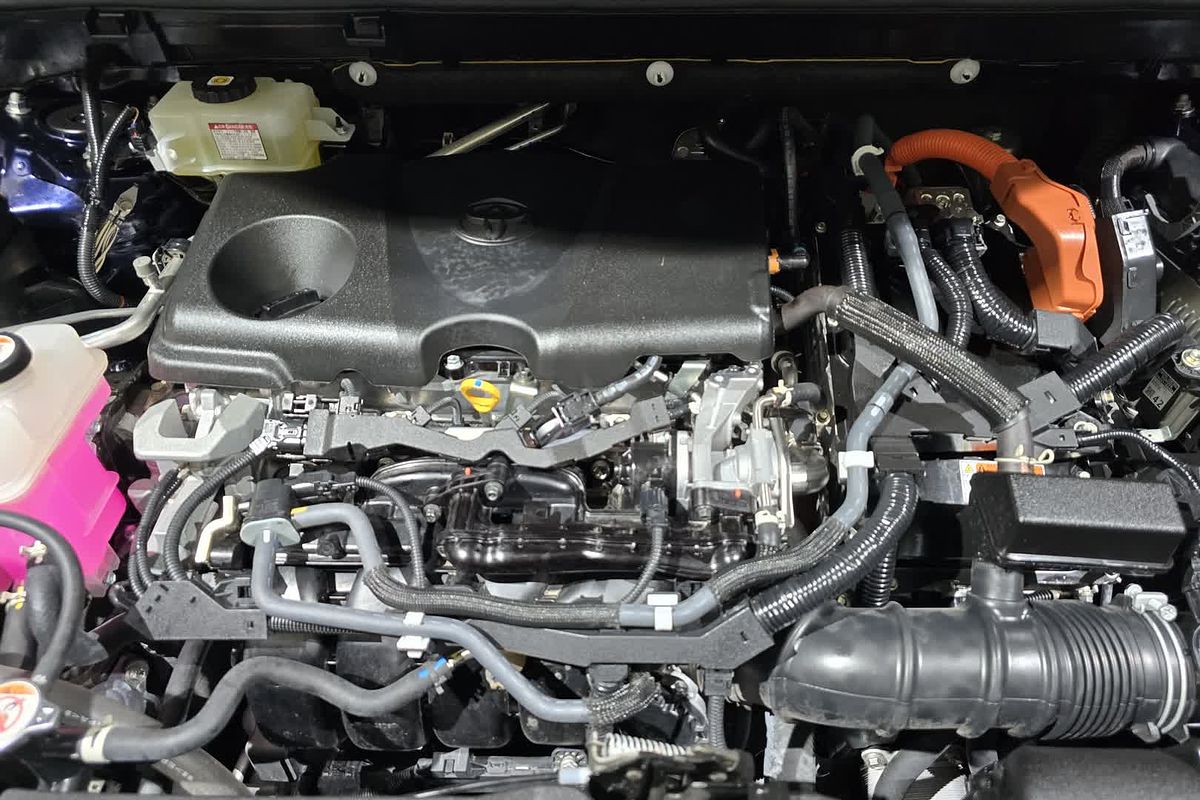 2021 Toyota RAV4 Cruiser AXAH54R