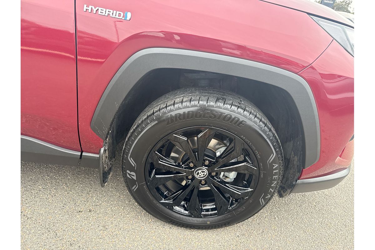 2024 Toyota RAV4 Cruiser AXAH52R