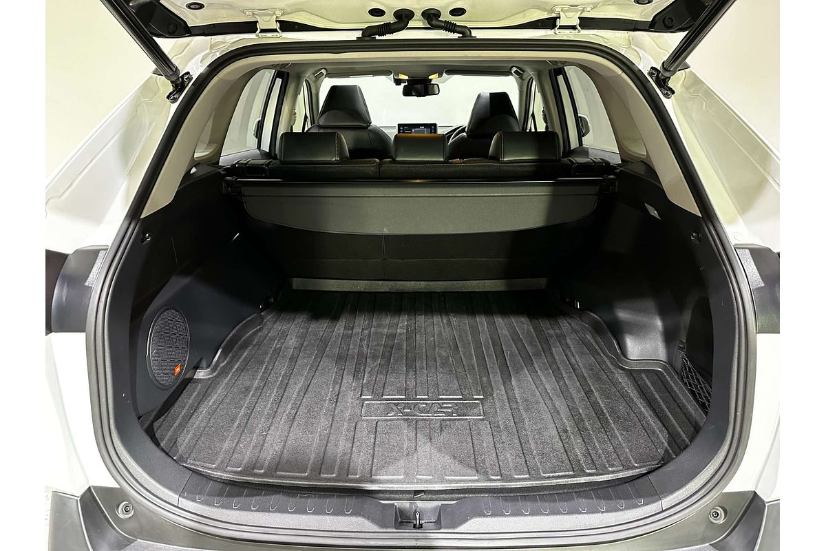 2020 Toyota RAV4 Cruiser AXAH54R
