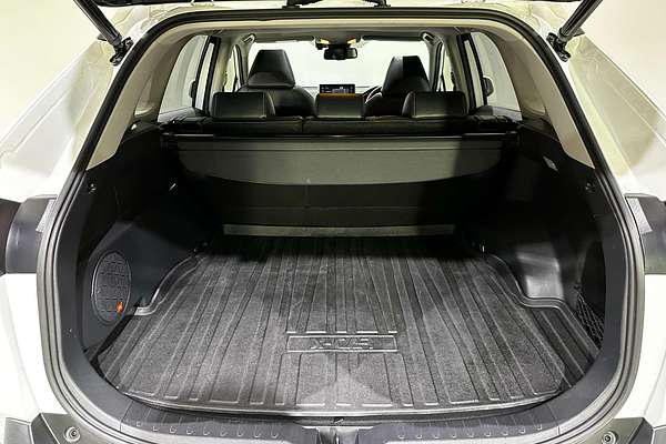2020 Toyota RAV4 Cruiser AXAH54R