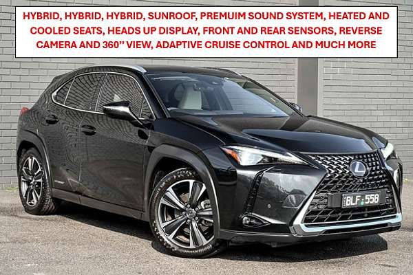 2019 Lexus UX UX250h Sport Luxury MZAH15R