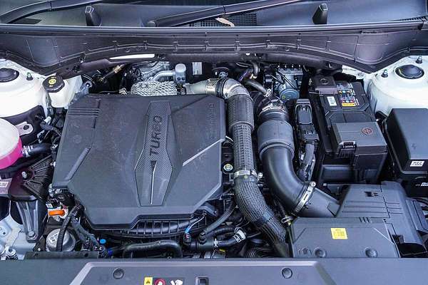 2025 Hyundai Santa Fe Calligraphy MX5.V1