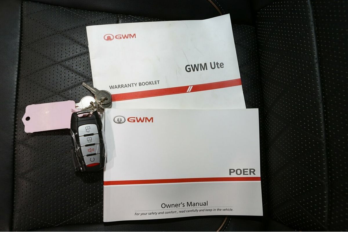 2021 GWM Ute Cannon-X NPW 4X4