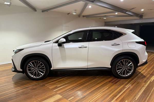 2023 Lexus NX NX350h Sports Luxury AAZH20R