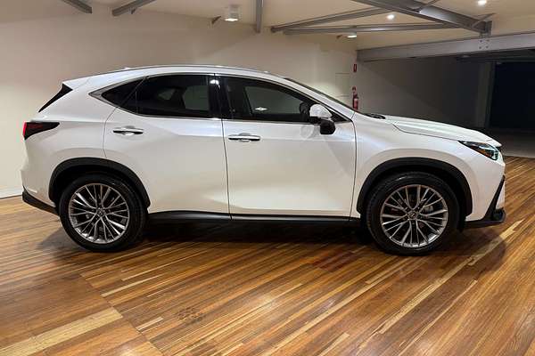 2023 Lexus NX NX350h Sports Luxury AAZH20R