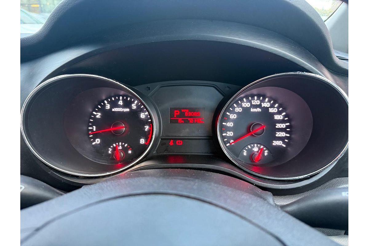 2018 Kia Carnival S YP