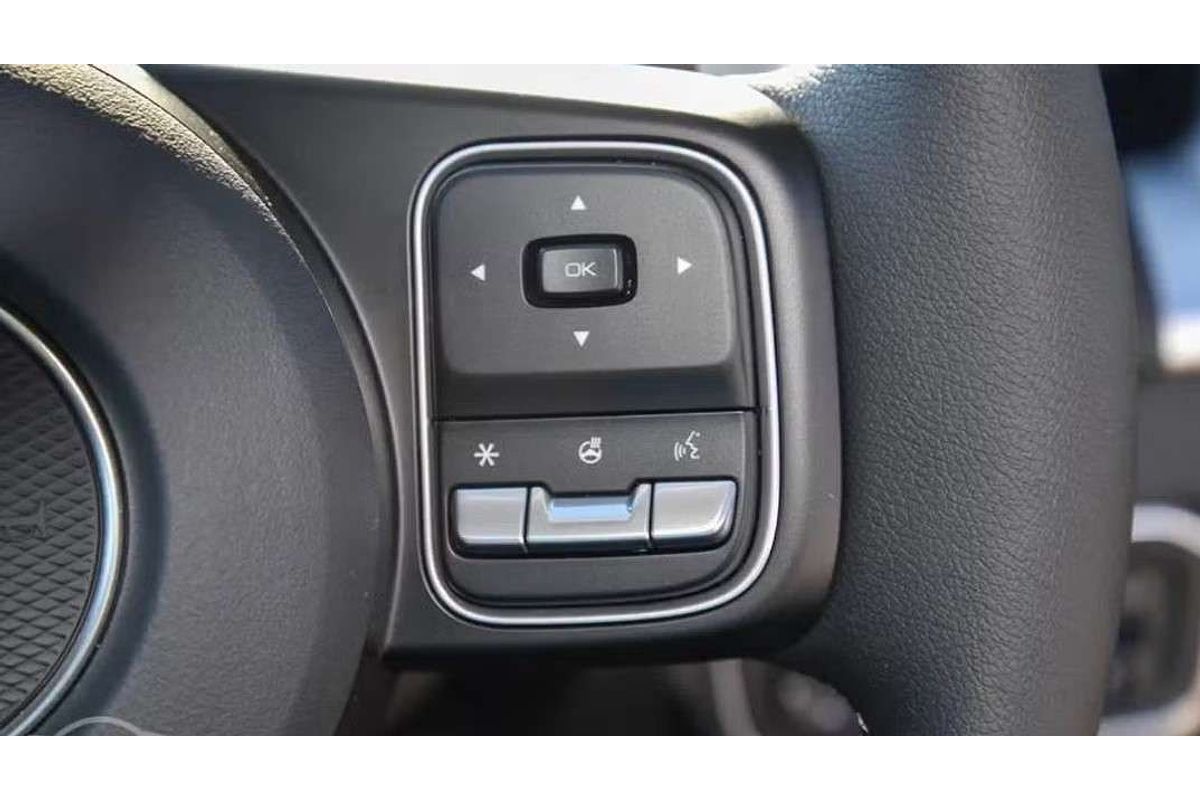2025 GWM Cannon Vanta NPW 4X4