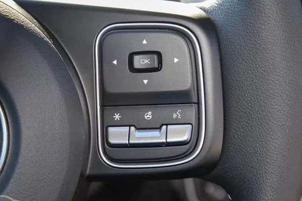 2025 GWM Cannon Vanta NPW 4X4